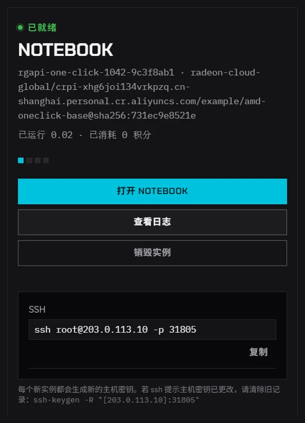 实例卡片，包括打开 Notebook、查看日志、销毁实例和 SSH 命令