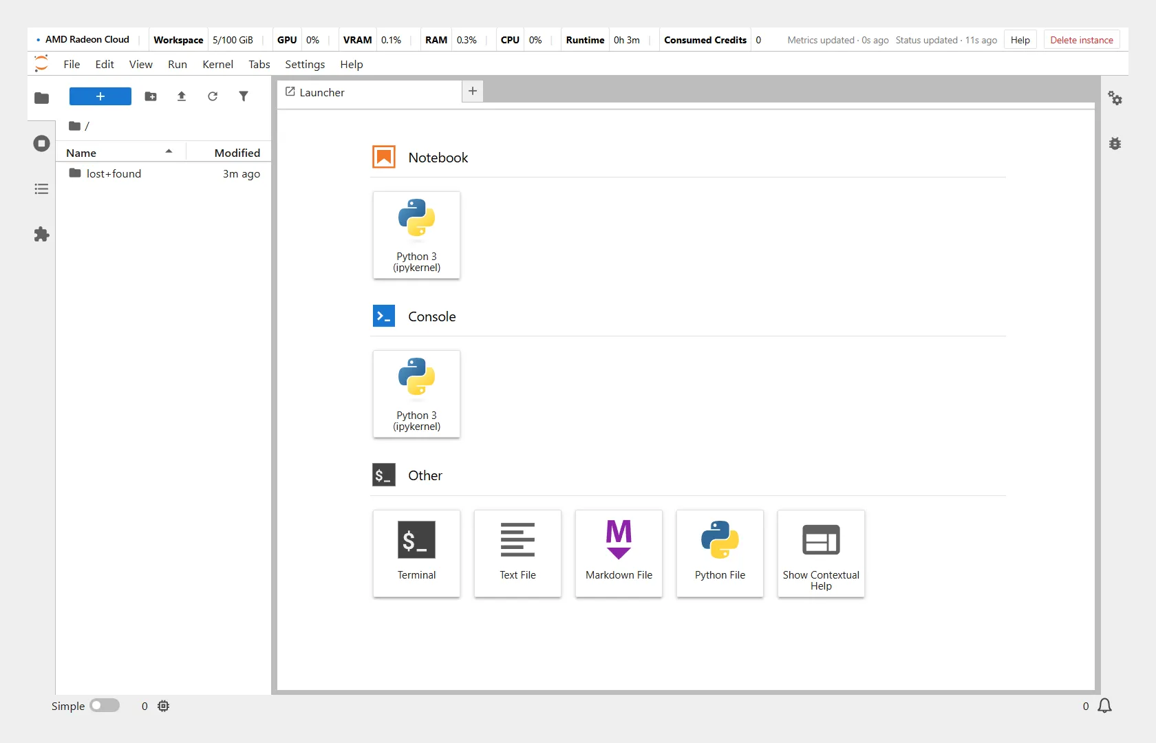 JupyterLab on an instance, with the Radeon Cloud status bar and Delete instance at the top