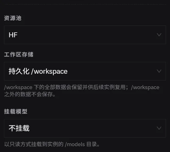 打开自定义后多出的字段：资源池、工作区存储（已选持久化 /workspace）、挂载模型