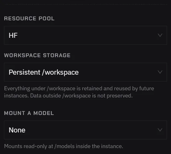 The fields Customize adds: Resource pool, Workspace storage set to Persistent /workspace, and Mount a model